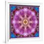 Symmetric Layer Work from Flowers Photographs-Alaya Gadeh-Framed Photographic Print