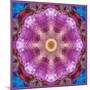 Symmetric Layer Work from Flowers Photographs-Alaya Gadeh-Mounted Photographic Print