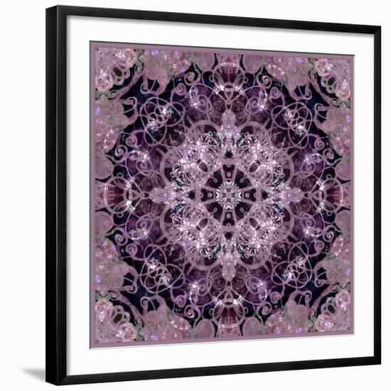 Symmetric Montage of Flowers-Alaya Gadeh-Framed Photographic Print