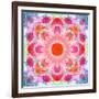Symmetric Multicolor Layer Work of Blossoms-Alaya Gadeh-Framed Photographic Print