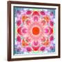 Symmetric Multicolor Layer Work of Blossoms-Alaya Gadeh-Framed Photographic Print