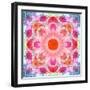 Symmetric Multicolor Layer Work of Blossoms-Alaya Gadeh-Framed Photographic Print