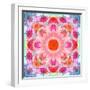 Symmetric Multicolor Layer Work of Blossoms-Alaya Gadeh-Framed Photographic Print