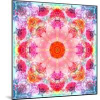 Symmetric Multicolor Layer Work of Blossoms-Alaya Gadeh-Mounted Photographic Print