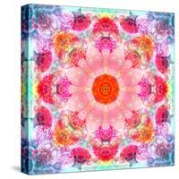 Symmetric Multicolor Layer Work of Blossoms-Alaya Gadeh-Stretched Canvas