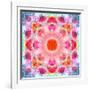 Symmetric Multicolor Layer Work of Blossoms-Alaya Gadeh-Framed Photographic Print