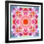 Symmetric Multicolor Layer Work of Blossoms-Alaya Gadeh-Framed Photographic Print