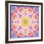 Symmetric Multicolor Layer Work of Blossoms-Alaya Gadeh-Framed Photographic Print