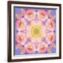 Symmetric Multicolor Layer Work of Blossoms-Alaya Gadeh-Framed Photographic Print