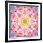 Symmetric Multicolor Layer Work of Blossoms-Alaya Gadeh-Framed Photographic Print