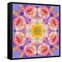 Symmetric Multicolor Layer Work of Blossoms-Alaya Gadeh-Framed Stretched Canvas