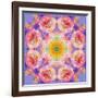 Symmetric Multicolor Layer Work of Blossoms-Alaya Gadeh-Framed Photographic Print