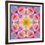 Symmetric Multicolor Layer Work of Blossoms-Alaya Gadeh-Framed Photographic Print