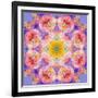 Symmetric Multicolor Layer Work of Blossoms-Alaya Gadeh-Framed Photographic Print