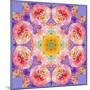 Symmetric Multicolor Layer Work of Blossoms-Alaya Gadeh-Mounted Photographic Print