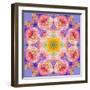 Symmetric Multicolor Layer Work of Blossoms-Alaya Gadeh-Framed Photographic Print