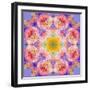 Symmetric Multicolor Layer Work of Blossoms-Alaya Gadeh-Framed Photographic Print