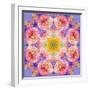 Symmetric Multicolor Layer Work of Blossoms-Alaya Gadeh-Framed Photographic Print