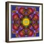 Symmetric Multicolor Layer Work of Blossoms-Alaya Gadeh-Framed Photographic Print