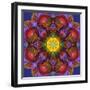 Symmetric Multicolor Layer Work of Blossoms-Alaya Gadeh-Framed Photographic Print