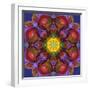 Symmetric Multicolor Layer Work of Blossoms-Alaya Gadeh-Framed Photographic Print