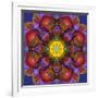 Symmetric Multicolor Layer Work of Blossoms-Alaya Gadeh-Framed Photographic Print