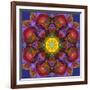 Symmetric Multicolor Layer Work of Blossoms-Alaya Gadeh-Framed Photographic Print