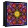 Symmetric Multicolor Layer Work of Blossoms-Alaya Gadeh-Framed Stretched Canvas