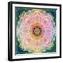 Symmetric Ornament from Flower Photographs-Alaya Gadeh-Framed Photographic Print