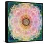 Symmetric Ornament from Flower Photographs-Alaya Gadeh-Framed Stretched Canvas