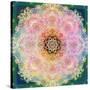 Symmetric Ornament from Flower Photographs-Alaya Gadeh-Stretched Canvas