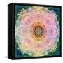 Symmetric Ornament from Flower Photographs-Alaya Gadeh-Framed Stretched Canvas