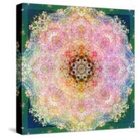 Symmetric Ornament from Flower Photographs-Alaya Gadeh-Stretched Canvas