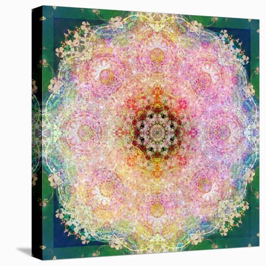 Symmetric Ornament from Flower Photographs-Alaya Gadeh-Stretched Canvas