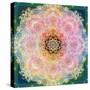 Symmetric Ornament from Flower Photographs-Alaya Gadeh-Stretched Canvas