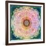 Symmetric Ornament from Flower Photographs-Alaya Gadeh-Framed Photographic Print