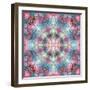 Symmetric Ornament from Flower Photographs-Alaya Gadeh-Framed Photographic Print