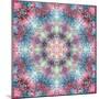 Symmetric Ornament from Flower Photographs-Alaya Gadeh-Mounted Photographic Print