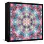 Symmetric Ornament from Flower Photographs-Alaya Gadeh-Framed Stretched Canvas