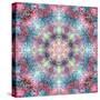 Symmetric Ornament from Flower Photographs-Alaya Gadeh-Stretched Canvas