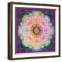 Symmetric Ornament from Flower Photographs-Alaya Gadeh-Framed Photographic Print