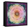 Symmetric Ornament from Flower Photographs-Alaya Gadeh-Framed Stretched Canvas