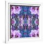 Symmetric Ornament from Flowers and Water Reflections-Alaya Gadeh-Framed Photographic Print