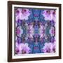 Symmetric Ornament from Flowers and Water Reflections-Alaya Gadeh-Framed Photographic Print