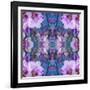 Symmetric Ornament from Flowers and Water Reflections-Alaya Gadeh-Framed Photographic Print