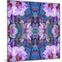 Symmetric Ornament from Flowers and Water Reflections-Alaya Gadeh-Mounted Photographic Print