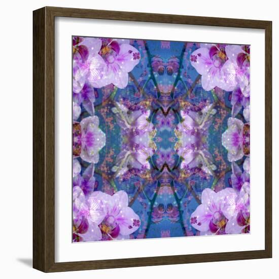 Symmetric Ornament from Flowers and Water Reflections-Alaya Gadeh-Framed Photographic Print