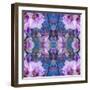 Symmetric Ornament from Flowers and Water Reflections-Alaya Gadeh-Framed Photographic Print