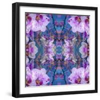 Symmetric Ornament from Flowers and Water Reflections-Alaya Gadeh-Framed Photographic Print