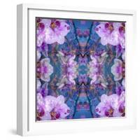 Symmetric Ornament from Flowers and Water Reflections-Alaya Gadeh-Framed Photographic Print